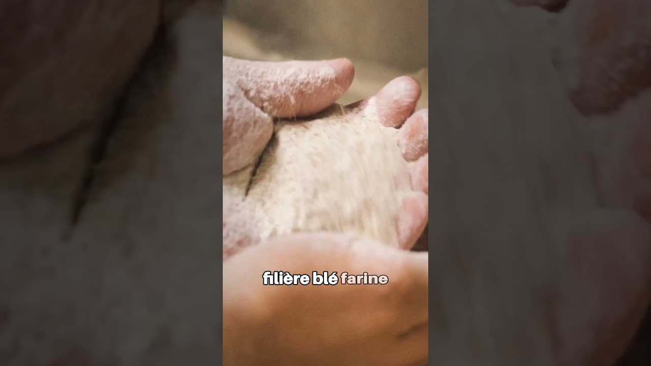 Vidéo YouTube